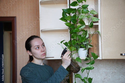 A young woman is spraying a houseplant with a spray bottle. Indoor plant care, gardening. Indoor vine, epipremnum
