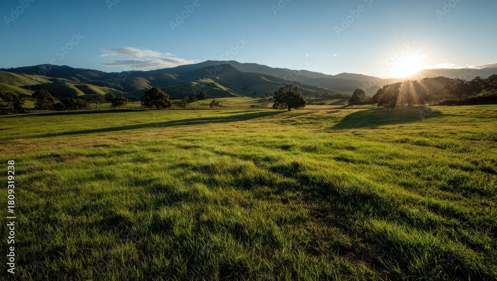 Obraz premium High quality photo of golden sunset over a vast green field with rolling hills and distant mountains
