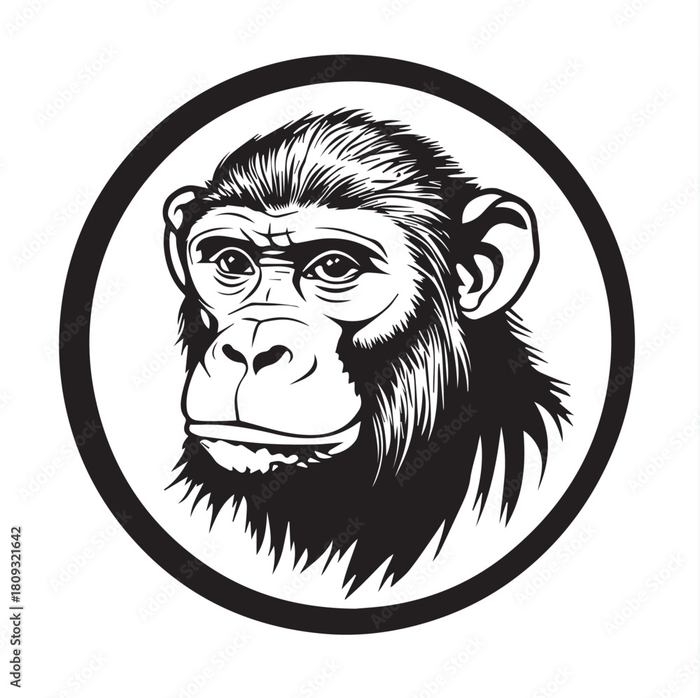 Obraz premium monkey head mascot