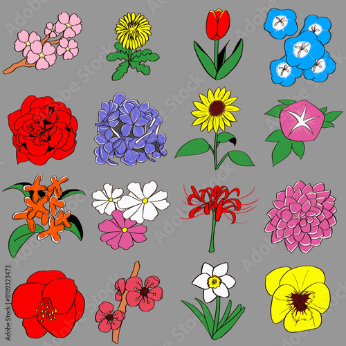 様々な花のベクターイラスト集