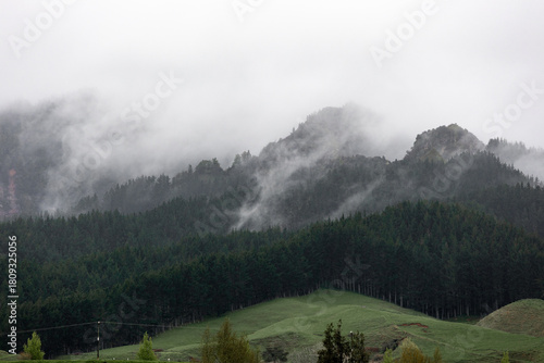 Cloudy and misty view of hill and tree.