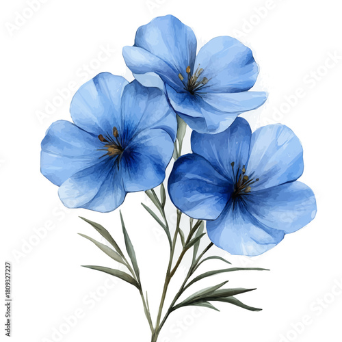 watercolor of Flax Flower, vector, isolated on a white background.