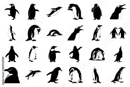 Penguin Silhouette Vector Icons Set: 24 Diverse Poses and Actions