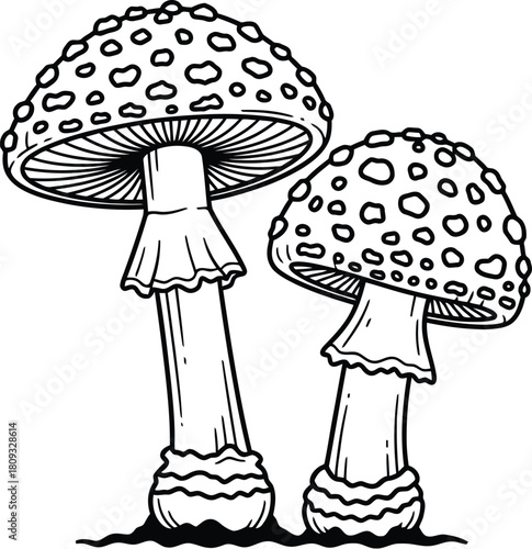 Detailed illustration of two spotted mushrooms with textured caps and stems