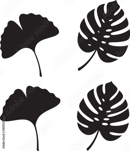 Black silhouettes of Monstera and Ginkgo Biloba leaves