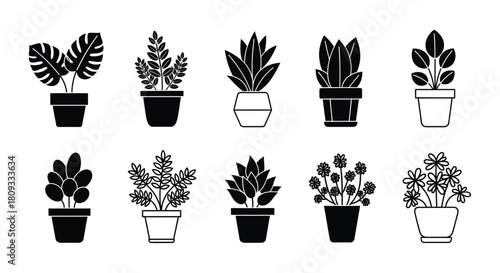 A collection of potted plants in a simple black and white style