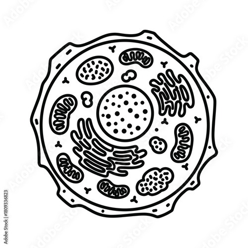 Illustration of a cell isolated on, a basic unit of life in biology and microbiology
