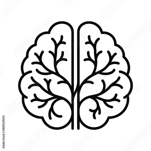 Human brain illustration from top view isolated on, representing intelligence and thought