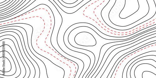 Topographic map. geographic line World map
 with elevation assignments. contour maps. Vector illustration.

