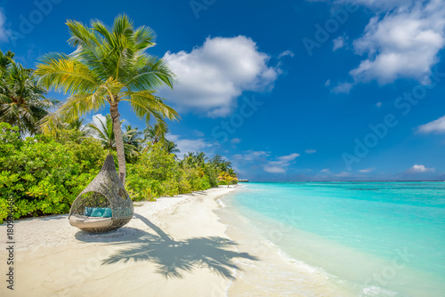 Fototapeta Naklejka Na Ścianę i Meble -  Luxury summer beach landscape. Popular travel destination, picturesque palm tree swing hammock tourism background. Idyllic sunny sea sand sky closeup relaxing tropical island vacation escape concept