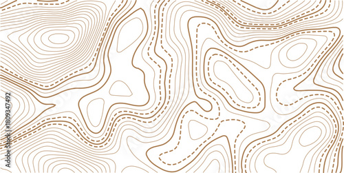 Topographic gold luxury map background. Geographic abstract pattern. The topo contour or wallpaper.White background with topographic wavy pattern design.