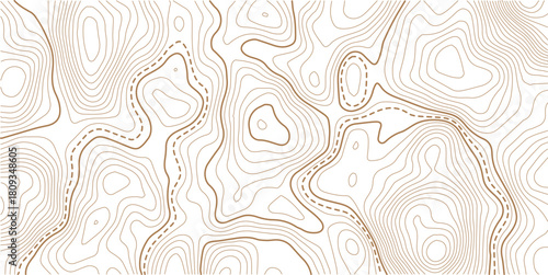 Topographic map pattern background vector. Abstract line contour mountain terrain map background. The concept of a conditional geography scheme and contour line map image. 