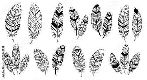 Black and white hand-drawn bohemian style feathers with intricate patterns and tribal designs, perfect for graphic design elements.