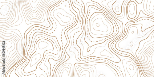 Topographic gold luxury map background. Geographic abstract pattern. The topo contour or wallpaper.Mountain trail terrain or path. 