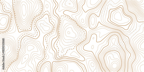 Topographic gold luxury map background. Geographic abstract pattern. The topo contour or wallpaper.Mountain trail terrain or path. 