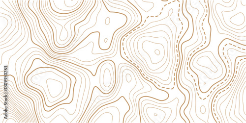 Topographic map background geographic line map with elevation assignments. The topo contour or wallpaper. Mountain trail terrain or path. Vector illustration. 