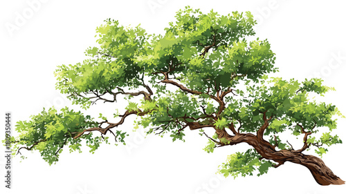 Detailed Drawing of Lush Green Tree with White Background