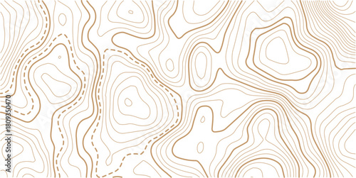 Topographic map pattern background vector. Abstract line contour mountain terrain map background. The concept of a conditional geography scheme and contour line map image. 