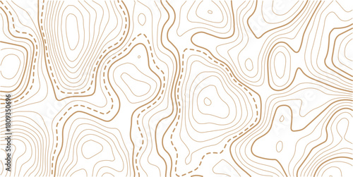 Topographic gold luxury map background. Geographic abstract pattern. The topo contour or wallpaper.Mountain trail terrain or path. 