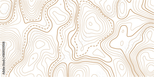 Topographic map pattern background vector. Abstract line contour mountain terrain map background. Modern design with White background with topographic wavy pattern design. 
