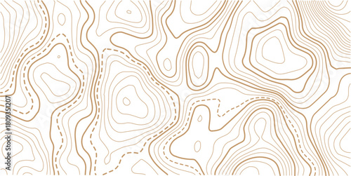 Topographic map pattern background vector. Abstract line contour mountain terrain map background. The concept of a conditional geography scheme and contour line map image. 