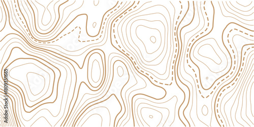 Topographic map pattern background vector. Abstract line contour mountain terrain map background. The concept of a conditional geography scheme and contour line map image. 