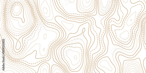 Topographic map pattern background vector. Abstract line contour mountain terrain map background. The concept of a conditional geography scheme and contour line map image. 
