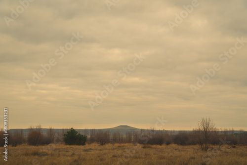 Wintery landscape in Castilla Spain