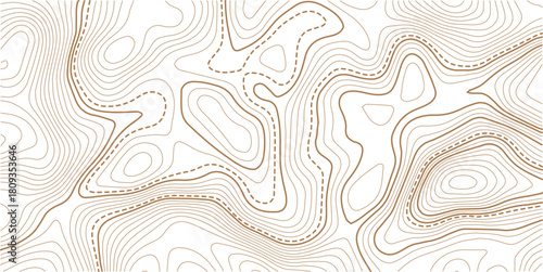 Topographic map pattern background vector. Abstract line contour mountain terrain map background. The concept of a conditional geography scheme and contour line map image. 