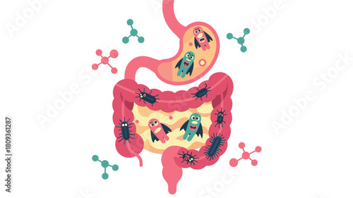 Human Digestive System with Gut Flora and Bacteria - Colorful Cartoon Illustration for Health and Science Education, Microbiome, Anatomy, Medical, and Digestive Health Concept