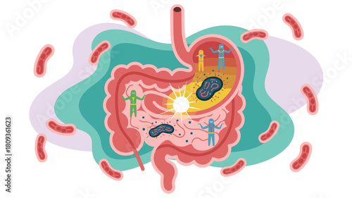 Human Gut Microbiome Illustration with Friendly Bacteria, Digestive System Health, and Probiotics, Depicting Intestinal Flora Balance in the Stomach and Intestines for Wellness