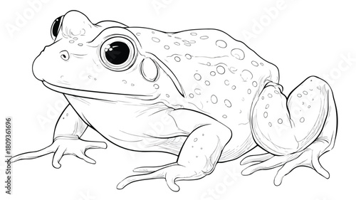 Cute Frog Cartoon Character for Coloring Page Vector Illustration