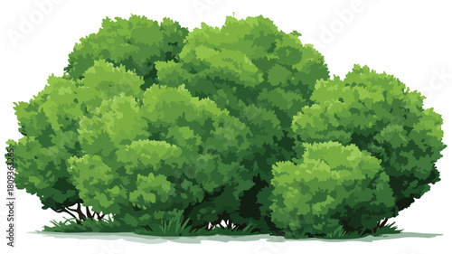 Bushes Located Close Together Vector Illustration