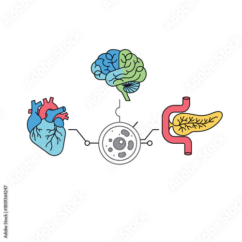 Illustrated Biological Cells Connecting Major Organs: Heart, Brain, and Pancreas - A Modern Medical Concept Visualization for Healthcare, Biology, and Scientific Research in Clean Minimal Design.