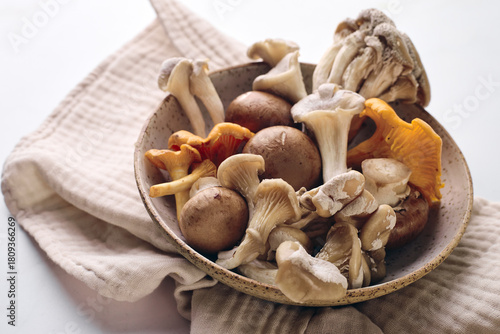 Fresh wild mushrooms: chanterelles, oyster mushrooms and champignons on plate on light table
