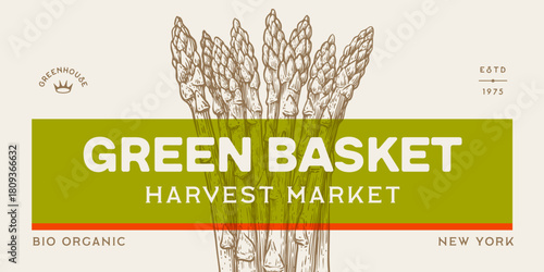 Asparagus, vegetable. Tag, label, sign, vintage retro print, black white asparagus drawing, sketch ink pencil draw, engrave old school style. Sketch artwork silhouette asparagus. Vector Illustration