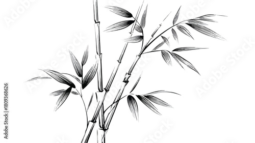 Elegant Bamboo Stems with Leaves Solid Icon in Asian Nature