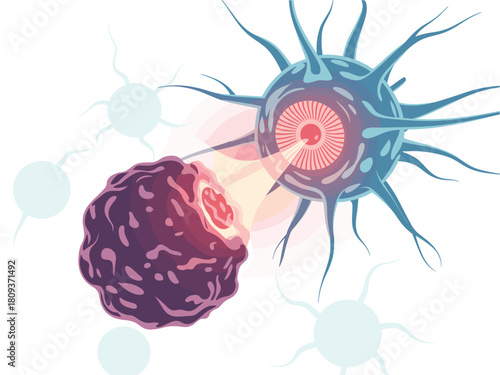 Cell-Mediated Cytotoxicity Illustration: Cytotoxic T-Lymphocyte Destroying a Cancer Cell; Biological Warfare and Immune System Response and Destruction of Infected Cells, Microscopic, Scientific