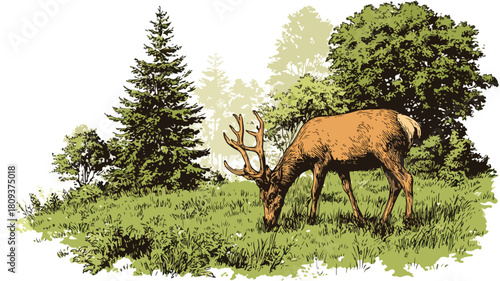 Majestic Cute Brown Deer with Horns Grazing in Lush Herbivore Habitat