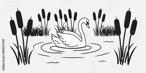 Svan med sothöns runt omkring.