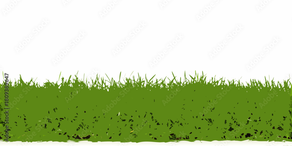 Fototapeta premium Green grass vector illustration on white background for design elements