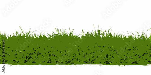 Illustration of a green grass border on a white background