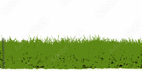 Green grass vector illustration on white background for design elements