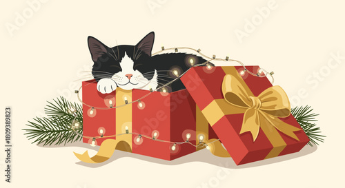 Charming illustration of a sleeping cat in a gift box with Christmas lights for holiday cards and pet-themed decor  
