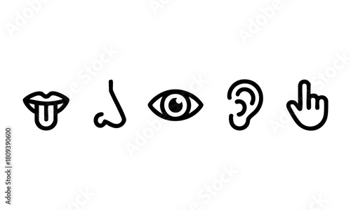 Five human senses icon set  vector illustration, easily editable.