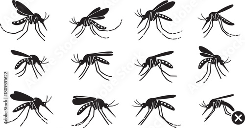 Twelve Black Mosquito Silhouettes in a Grid insect