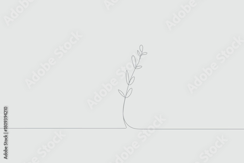 Minimalist single dried flower stem on a clean white background