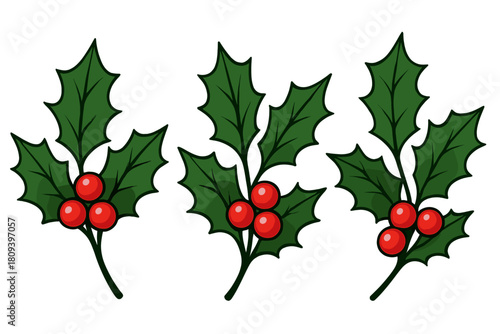 Festive Holly Arrangement. Three holly branches with vibrant red berries and rich green leaves, arranged in a linear composition. Each branch varies slightly in size. Vector illustration