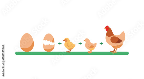 Chicken life cycle illustration shows the stages of development from a whole egg to a cracked egg then chicks and an adult hen.