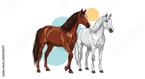 Elegant illustration of two beautiful horses a brown one and a white one standing together against a simple abstract background.